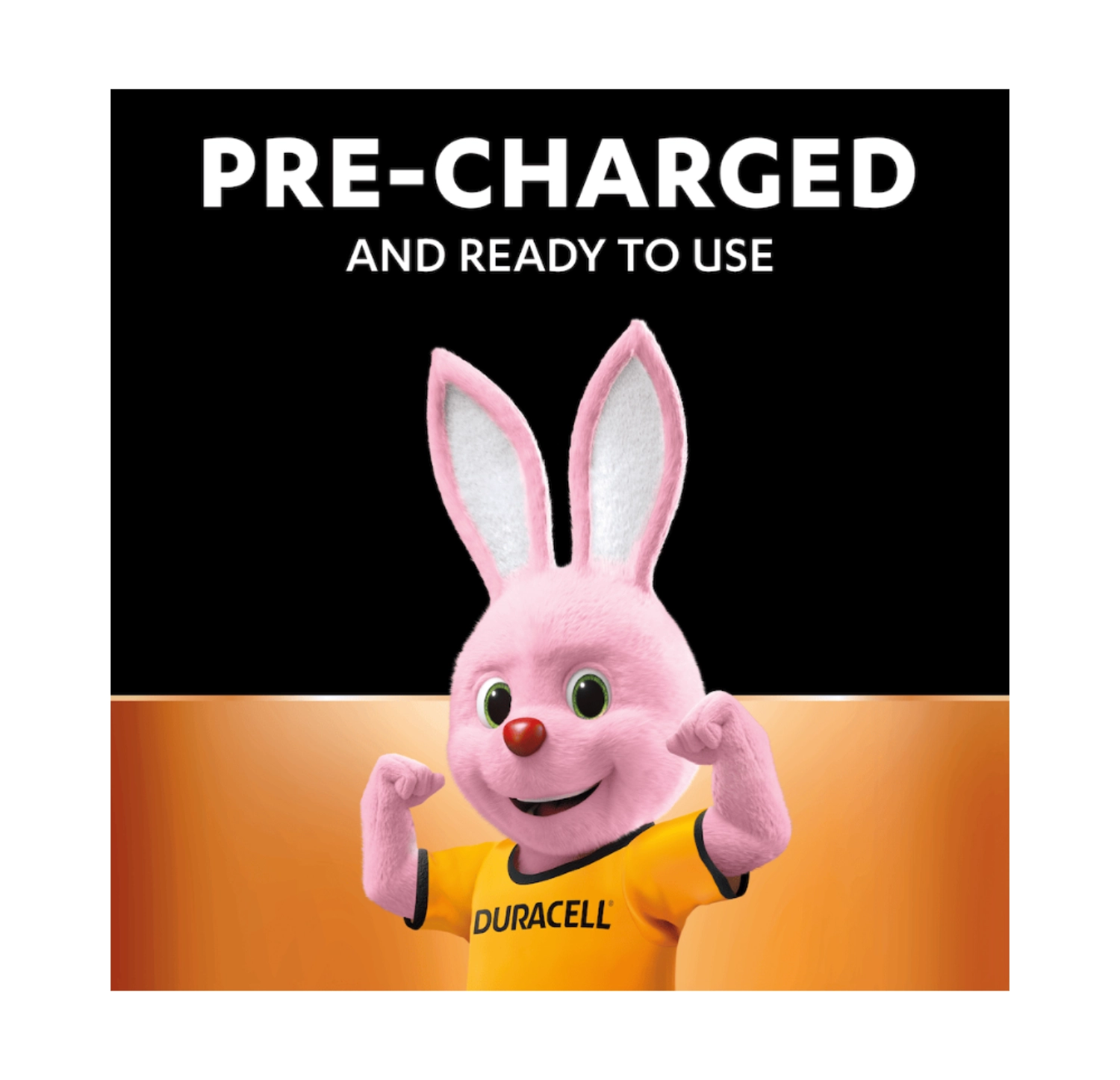 Duracell AA/HR6  2400 mAh  Rechargeable Accu